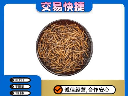 信阳市淮滨礼品回收虫草.jpg